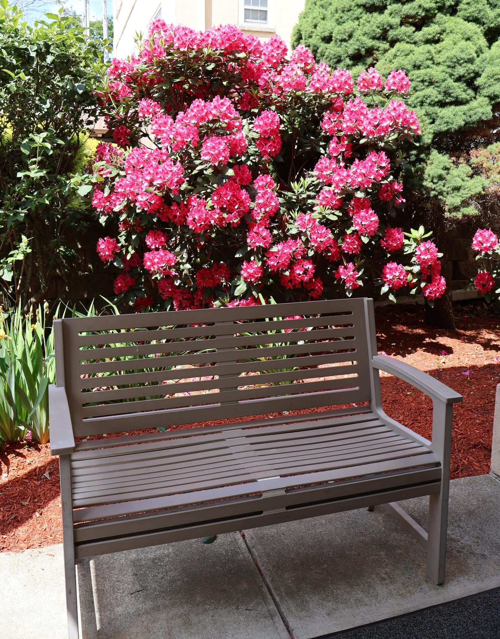 Outdoor patio at Advinia Care Pawtucket