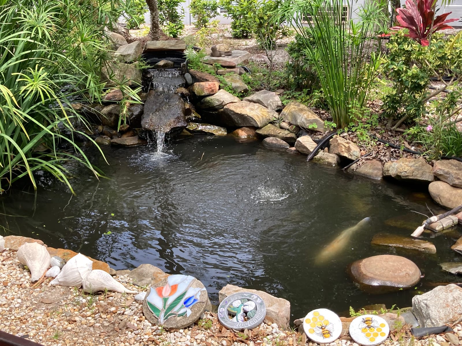Fish pond at Advinia Care Venice